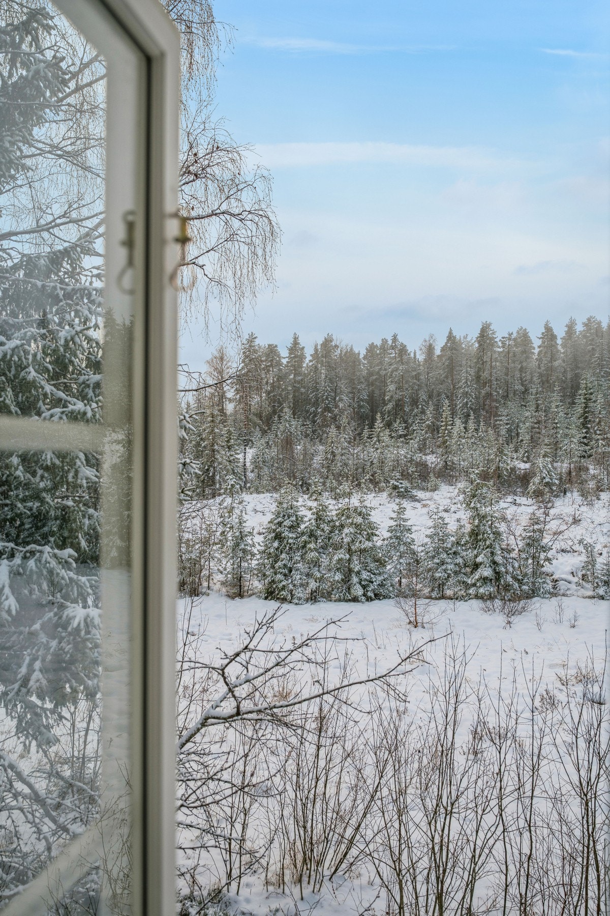 Koselig utsikt! Galleribilde
