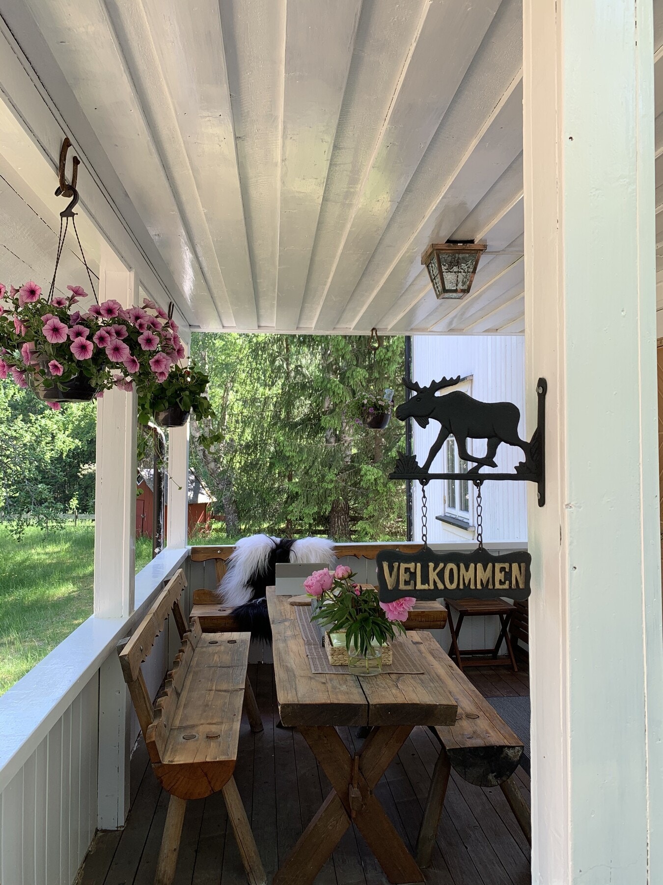 Bilder fra selger - sommer Galleribilde