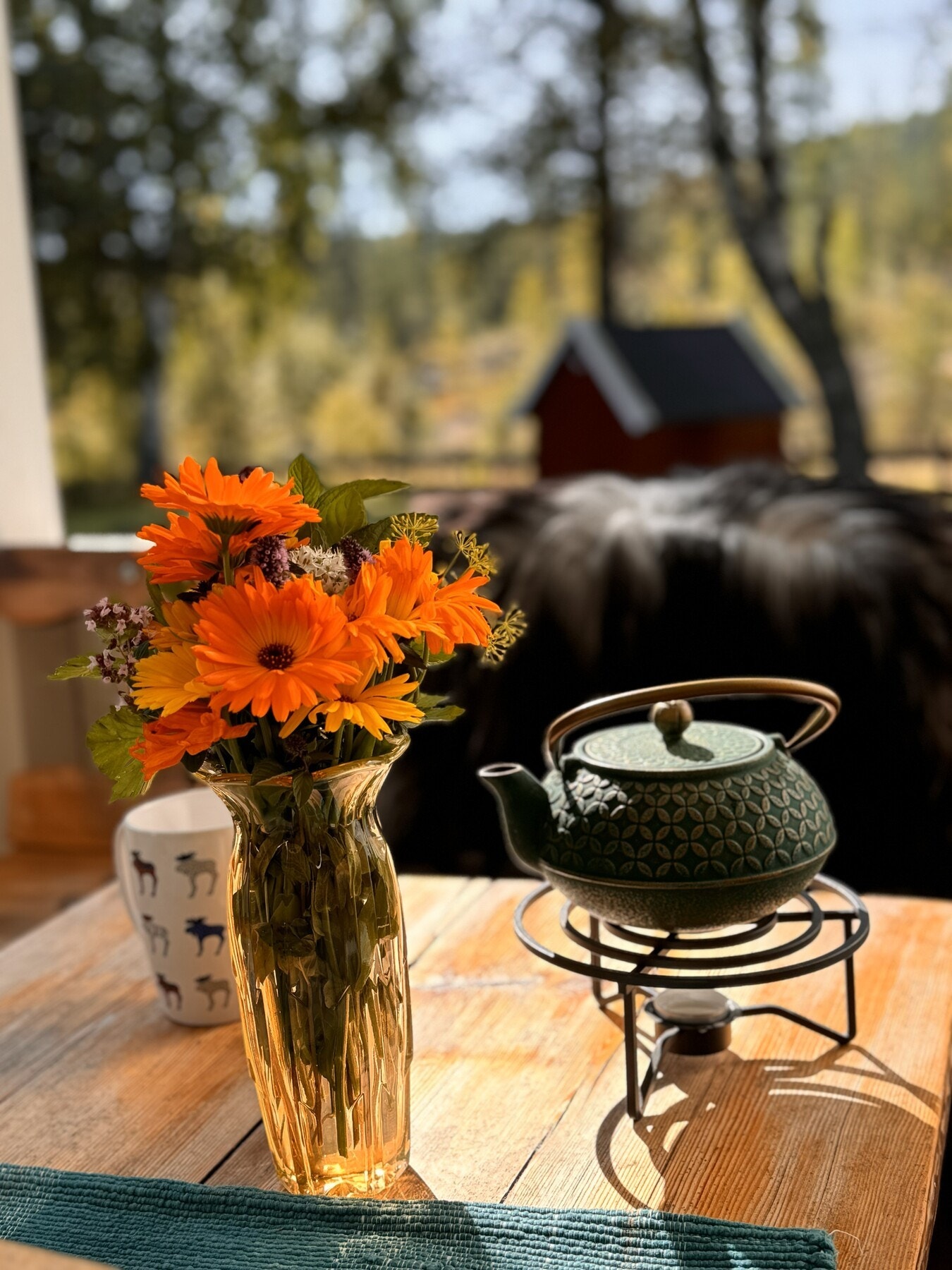 Bilder fra selger - sommer Galleribilde