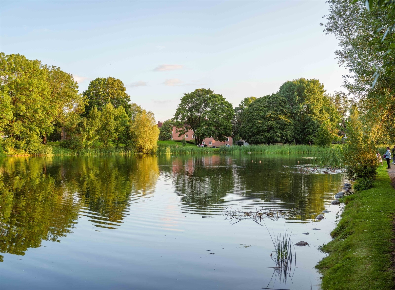 Nærområdet har flotte tur- og rekreasjonsmuligheter som idylliske Hovindammen. Galleribilde