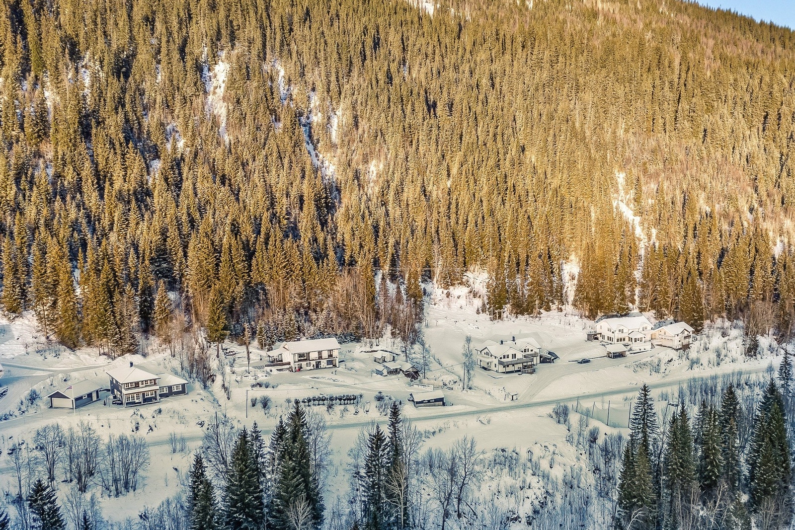 Husk å melde deg på visning! Galleribilde