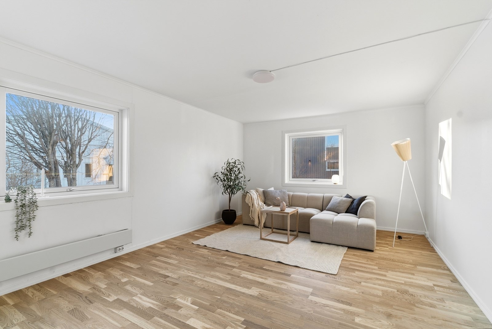 Flere vindusflater slipper inn rikelig med naturlig lys Galleribilde