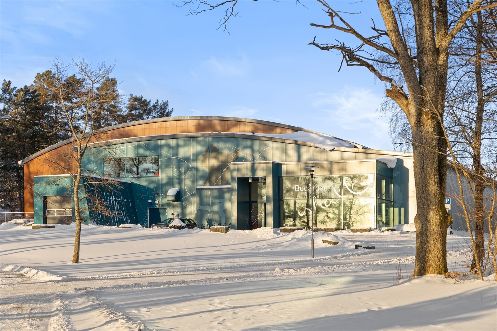 Bugårdsparken byr på et bredt tilbud av idretts- og fritidsaktiviteter for alle aldre. Galleribilde