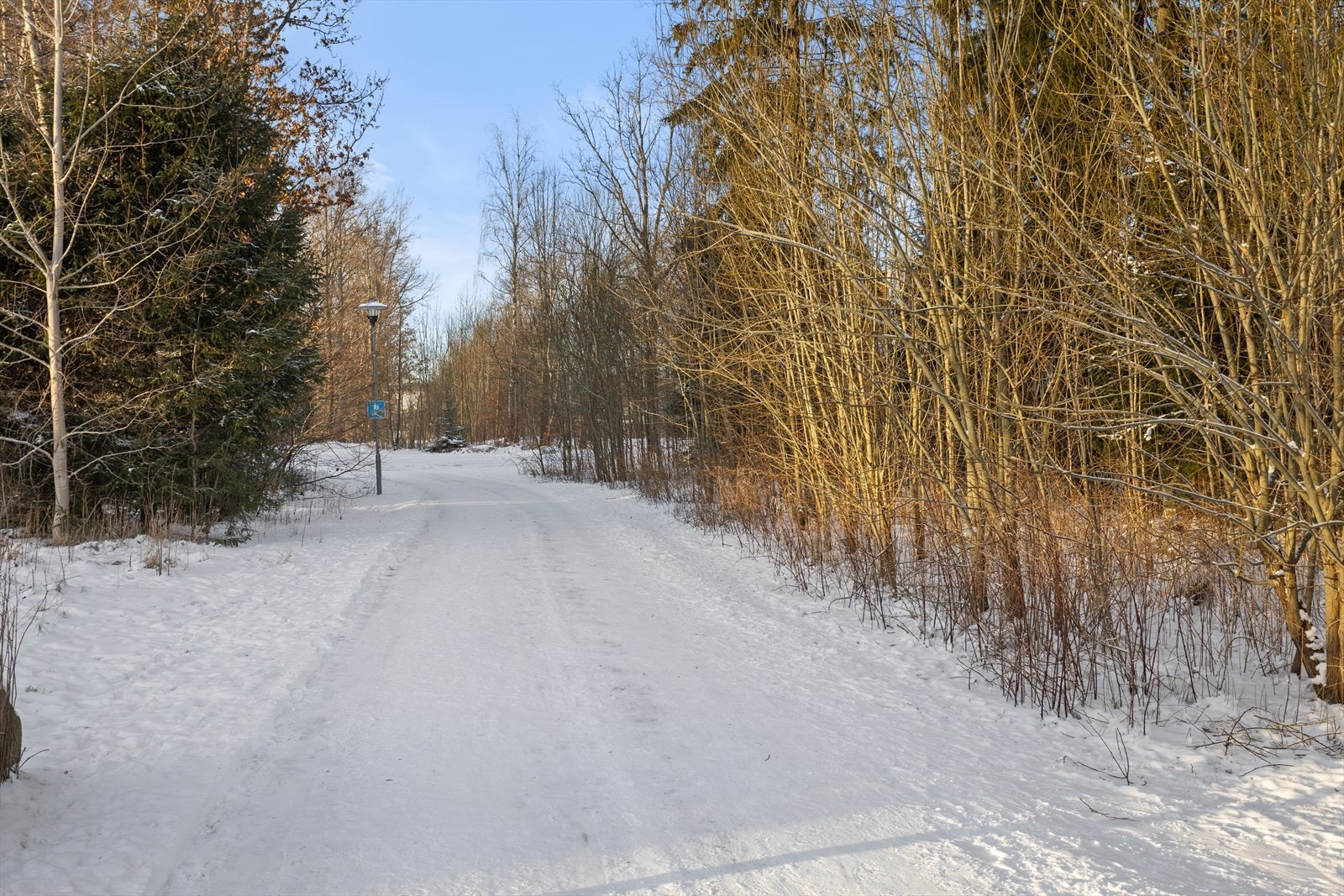 Med Bugårdsparken i nærheten byr området på flere turmuligheter. Galleribilde