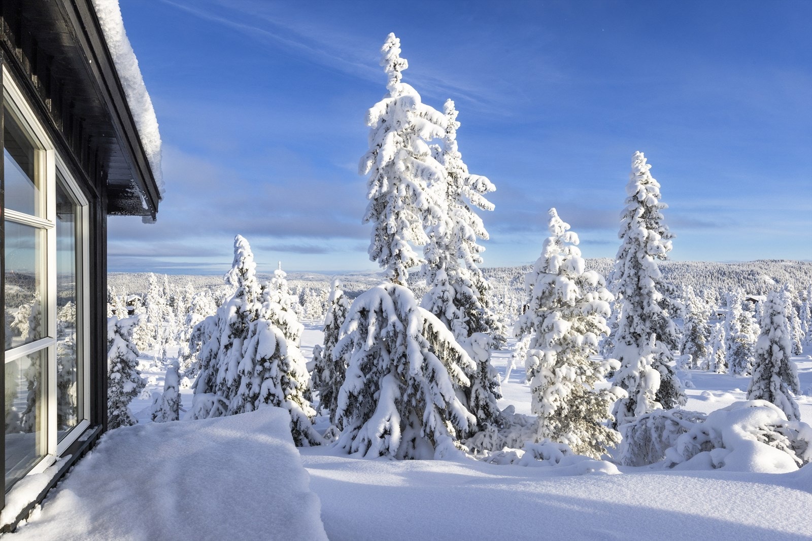 Sjekk utsikten! Galleribilde