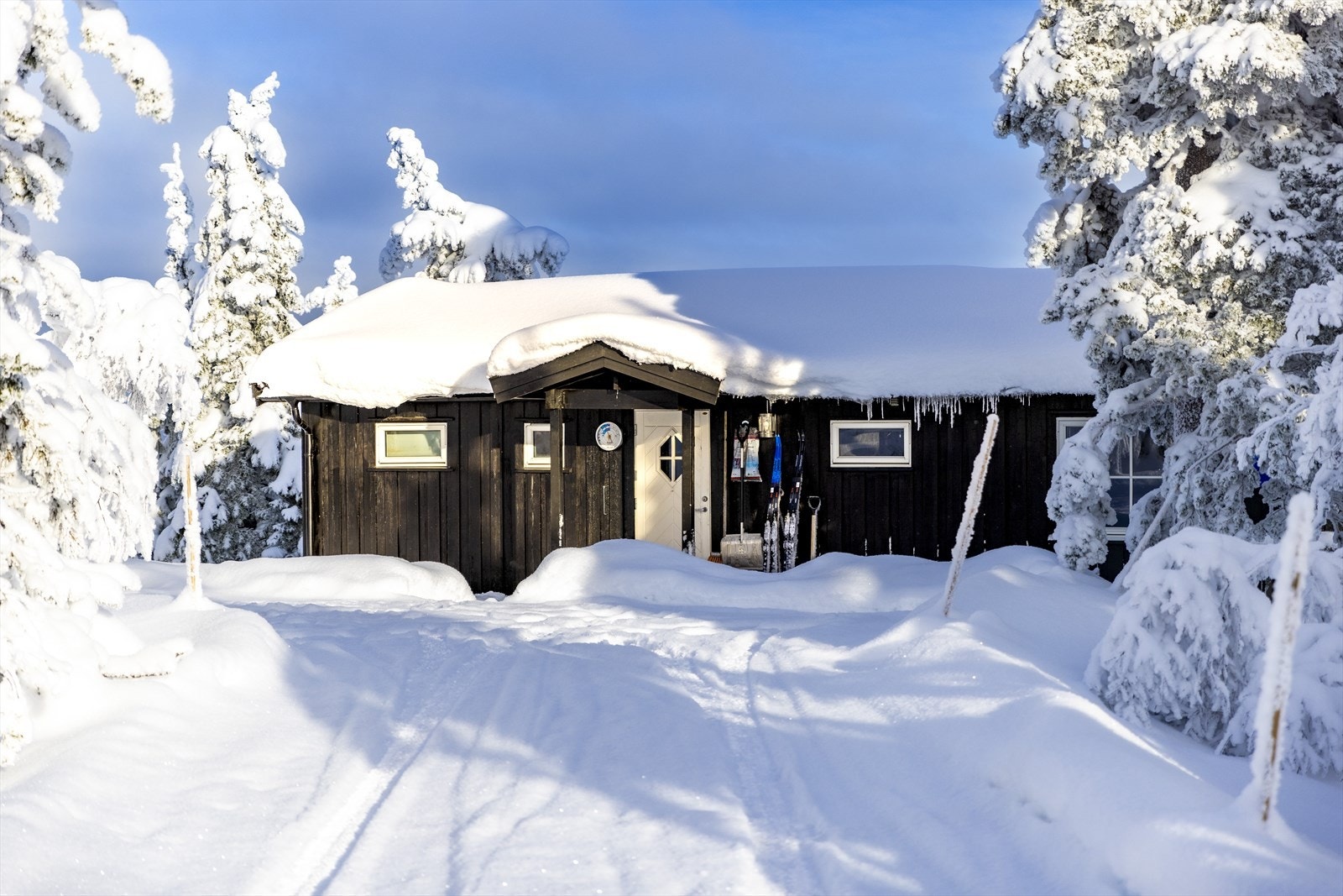 Hytta ligger i et område med spredt hyttebebyggelse, og det er kort vei til skiløypene, og nærhet blant annet til Lodgen. Galleribilde