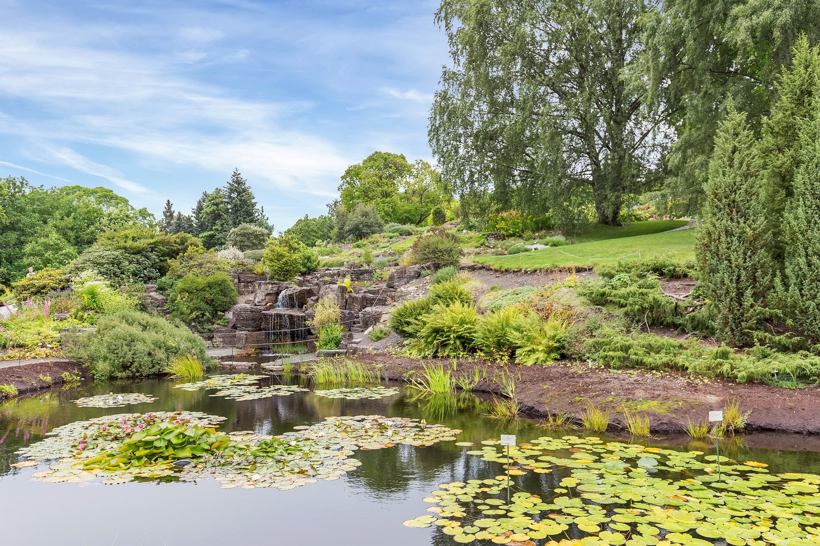 I Botanisk hage er det fine turmuligheter, Naturhistorisk museum og kafé. Galleribilde