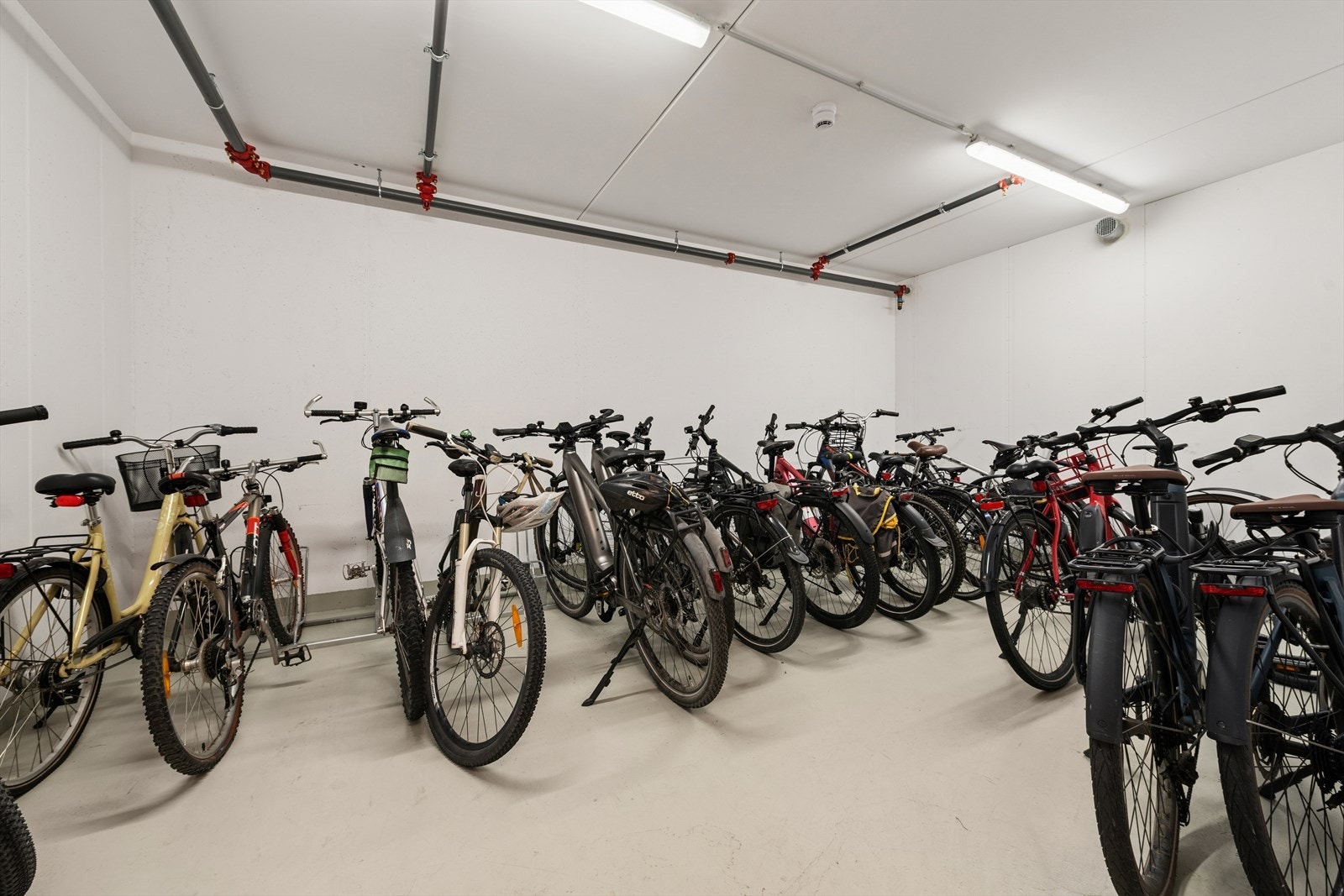 Felles sykkelbod. Galleribilde