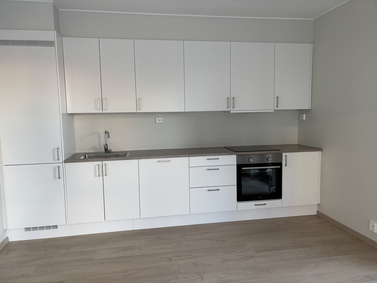 Integrerte hvitevarer Galleribilde