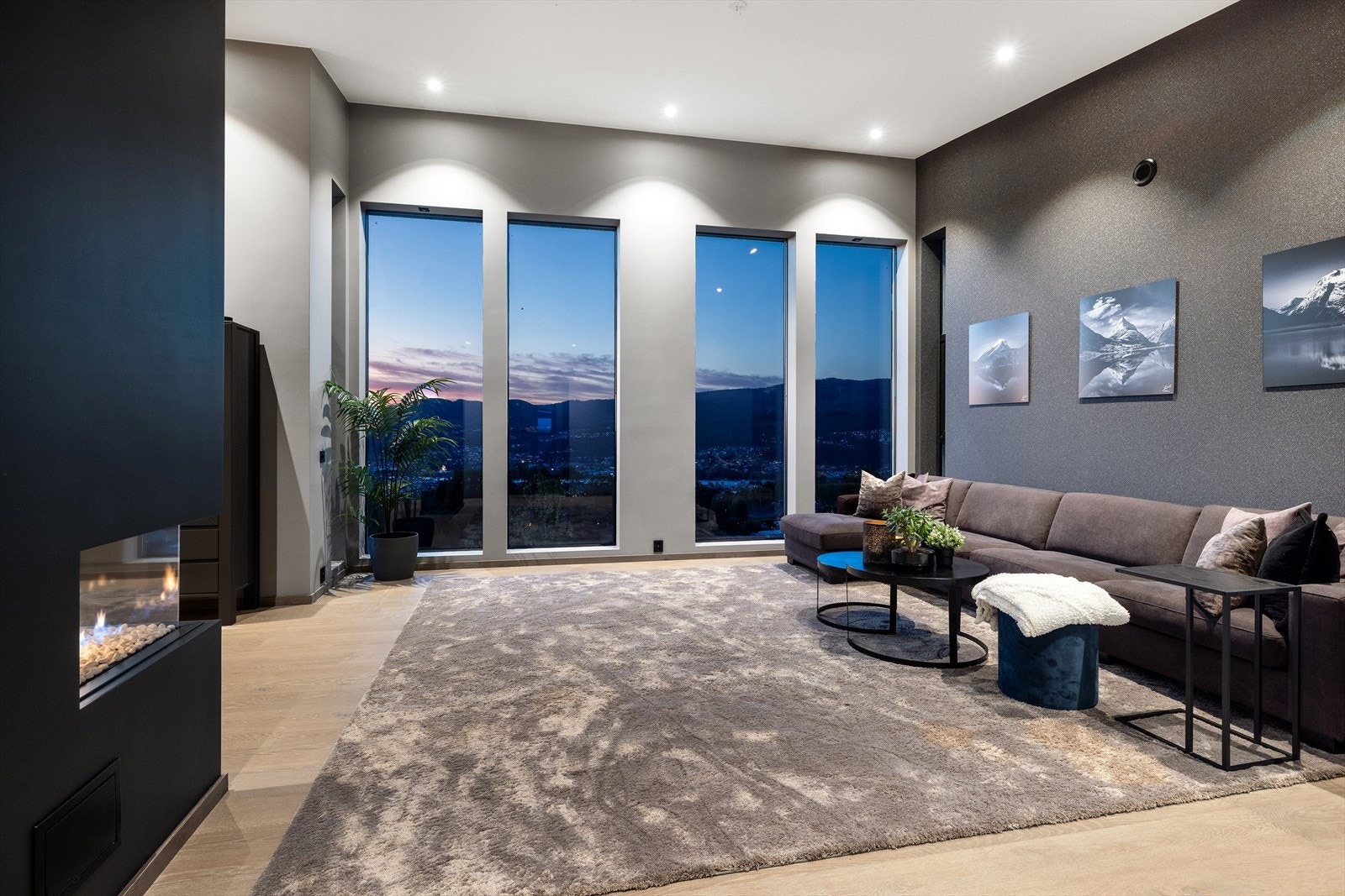 Blikkfanget i stuen er den delikate gasspeisen med innsyn fra tre sider. Galleribilde