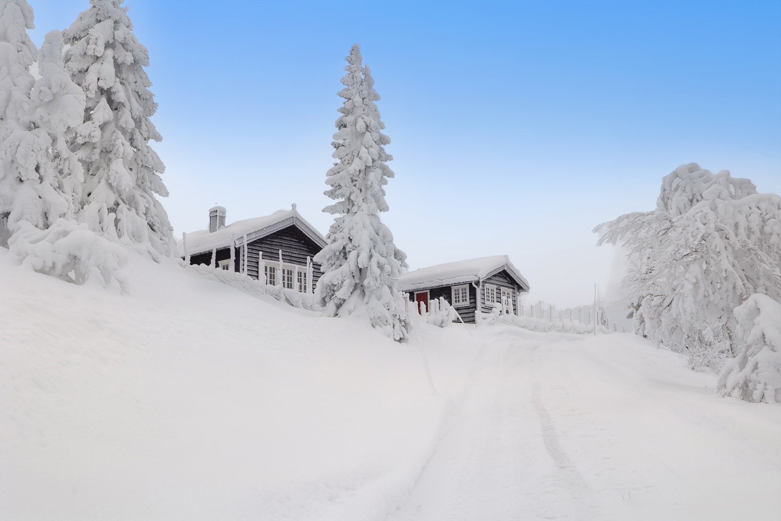 Flott beliggenhet på en høyde med fantastisk utsikt! Bilvei helt frem til hytta. Galleribilde