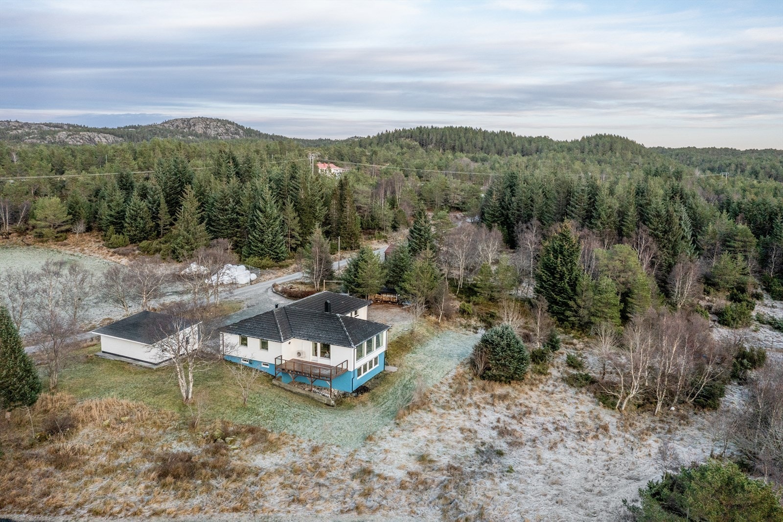 Velkommen til visning! Galleribilde