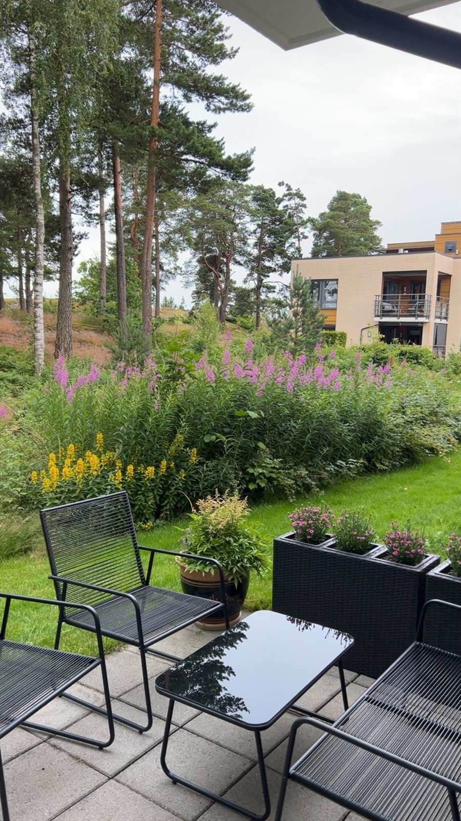 Bildet tatt av selger. Galleribilde