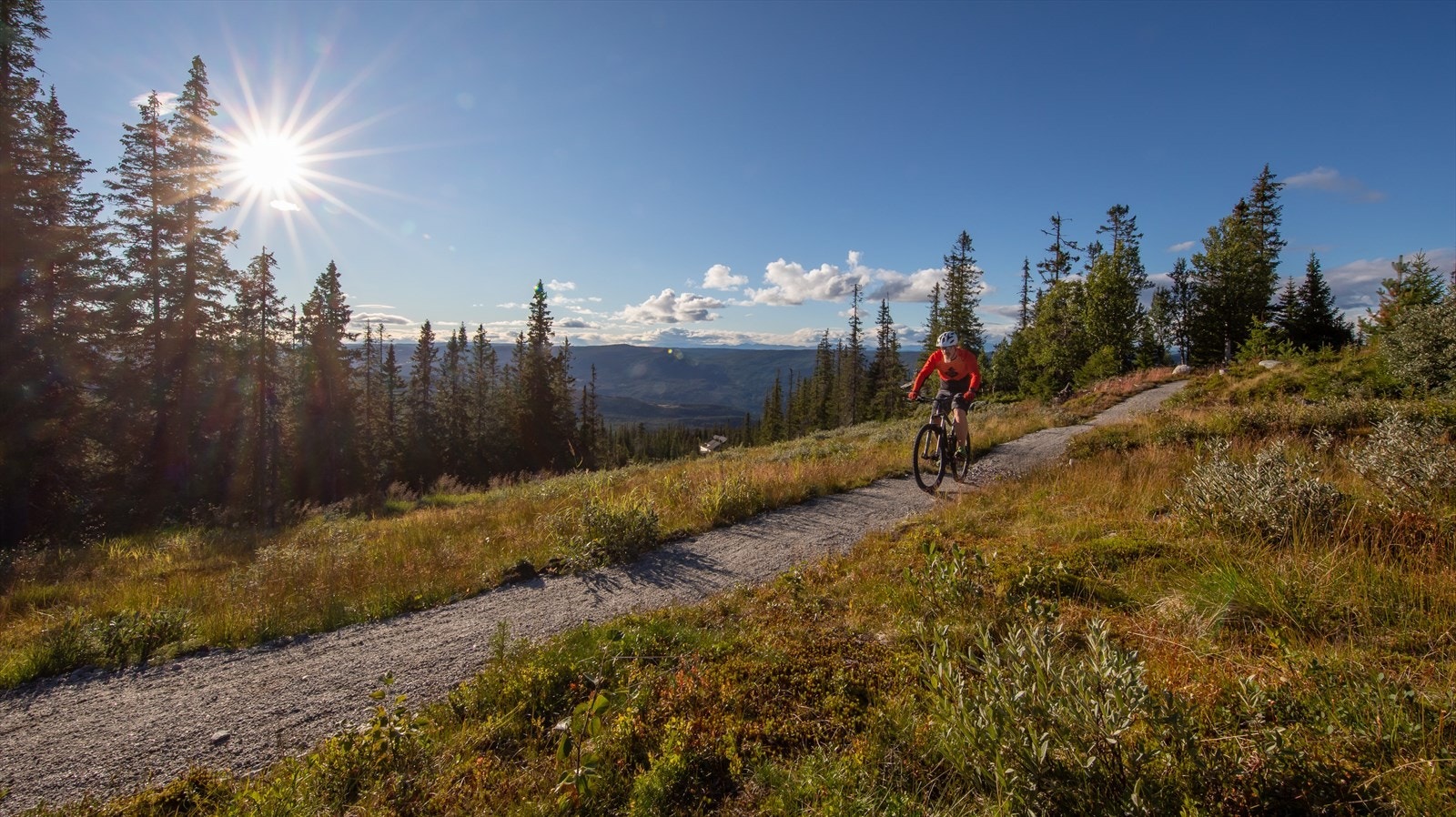 Milesvis med sykkelløyper i kommunen Galleribilde