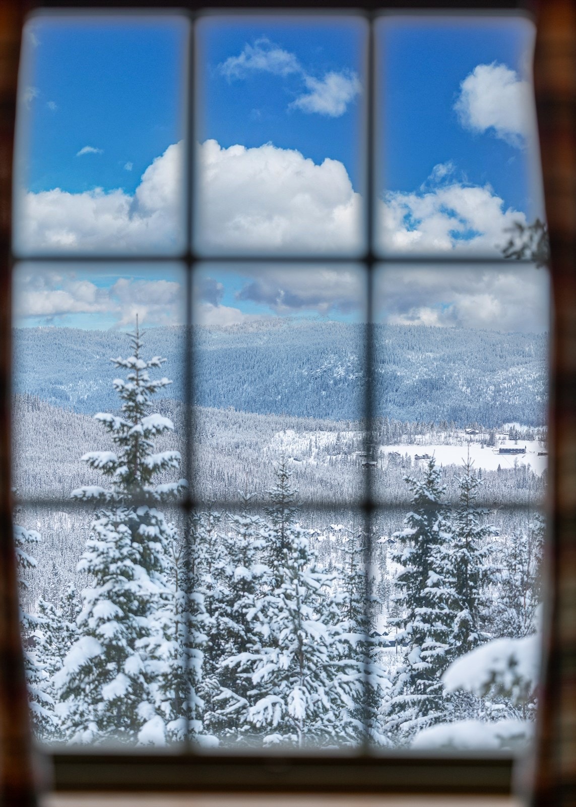 Hyggelig utsikt fra stuen Galleribilde