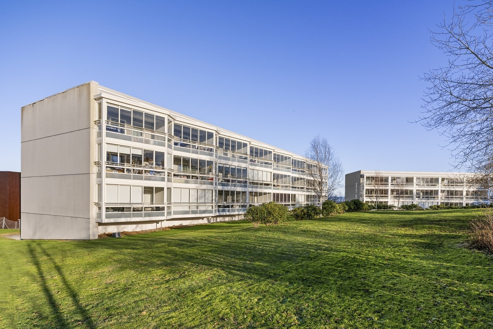 Borettslaget har fine fellesområder med gressplen og ulik beplanting. Galleribilde