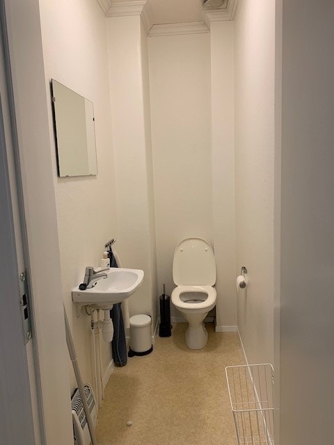 Felles Wc rom for bofellesskapet C Galleribilde