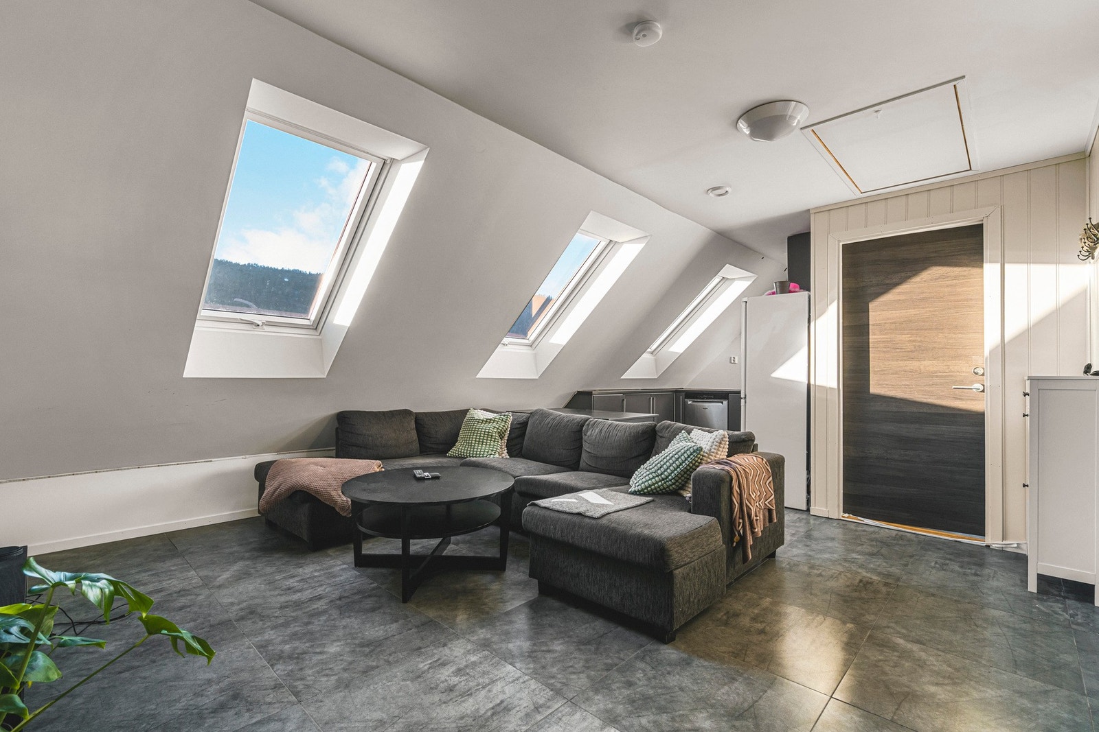 - Hyggelig stue/kjøkken med godt lysinnslipp på loftet - Galleribilde