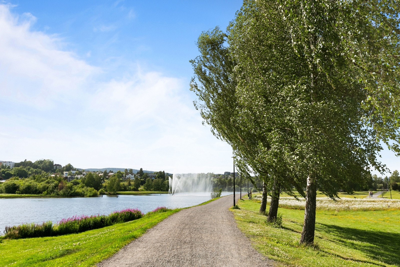 Fine turområder i umiddelbar nærhet. Galleribilde