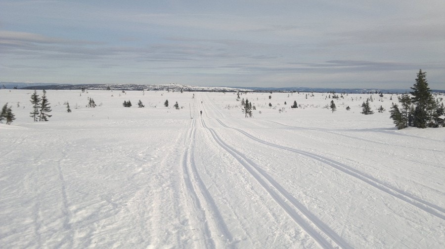 Raufjellet mot Dambu. Galleribilde