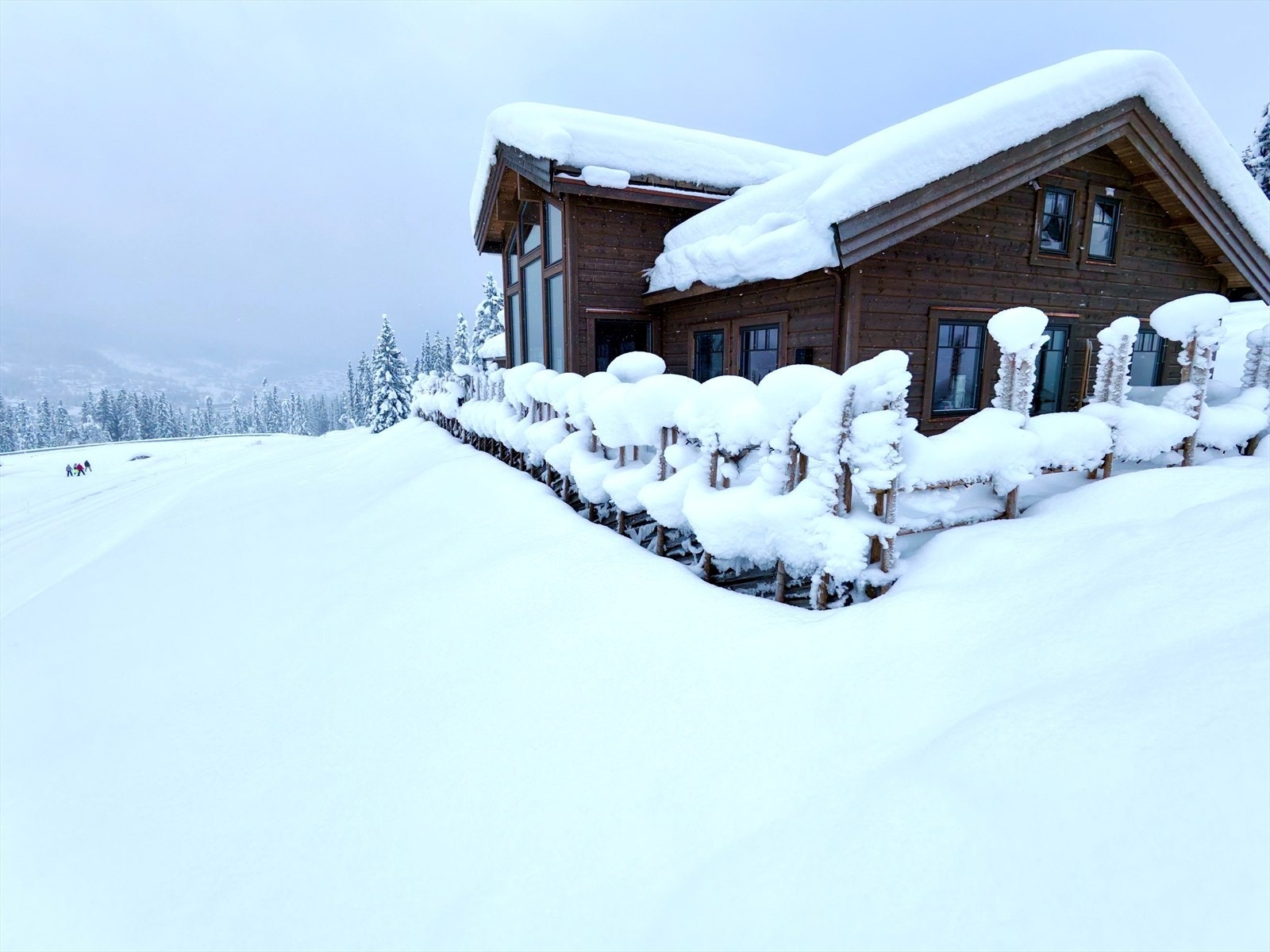 Selgers bilde Galleribilde