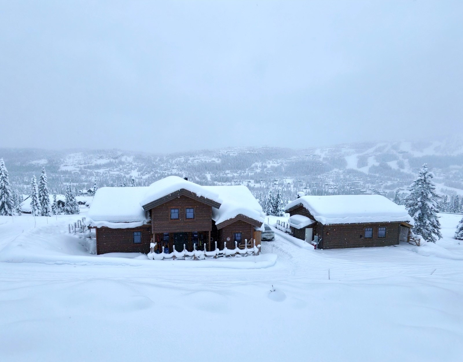 Selgers bilde Galleribilde