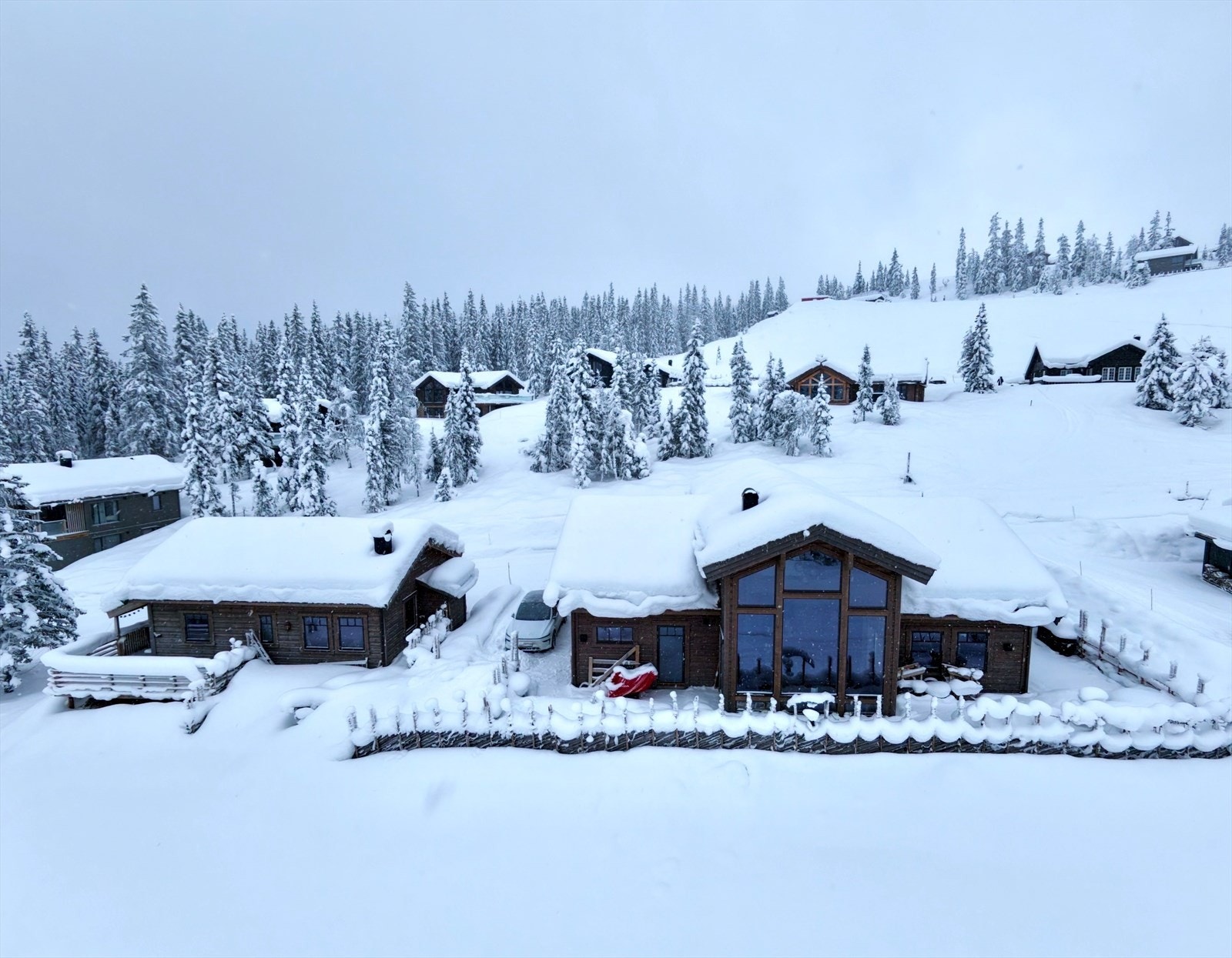 Selgers bilde Galleribilde