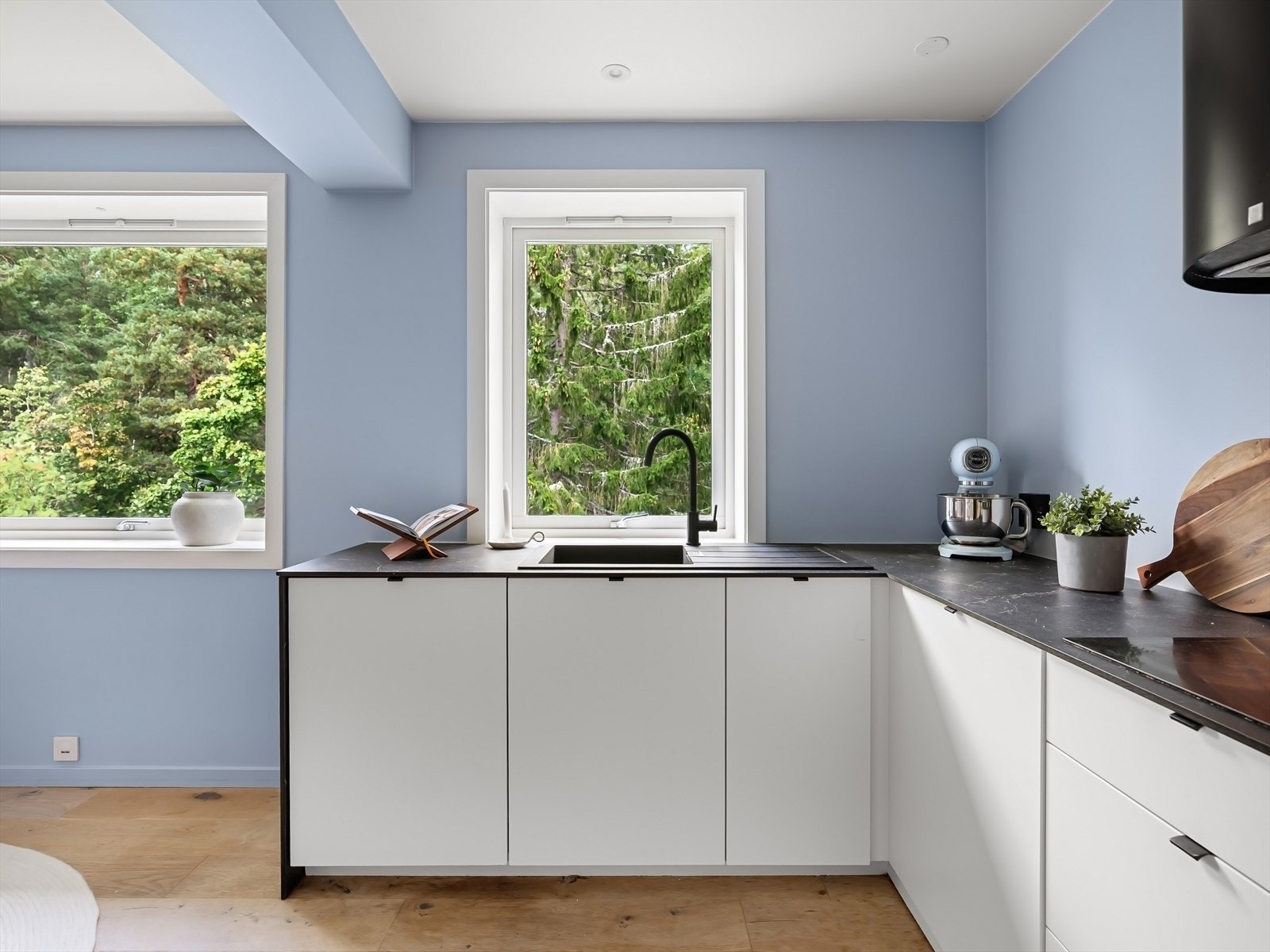 Usjenert og upåklagelig stemning med skogen rett ved. Galleribilde