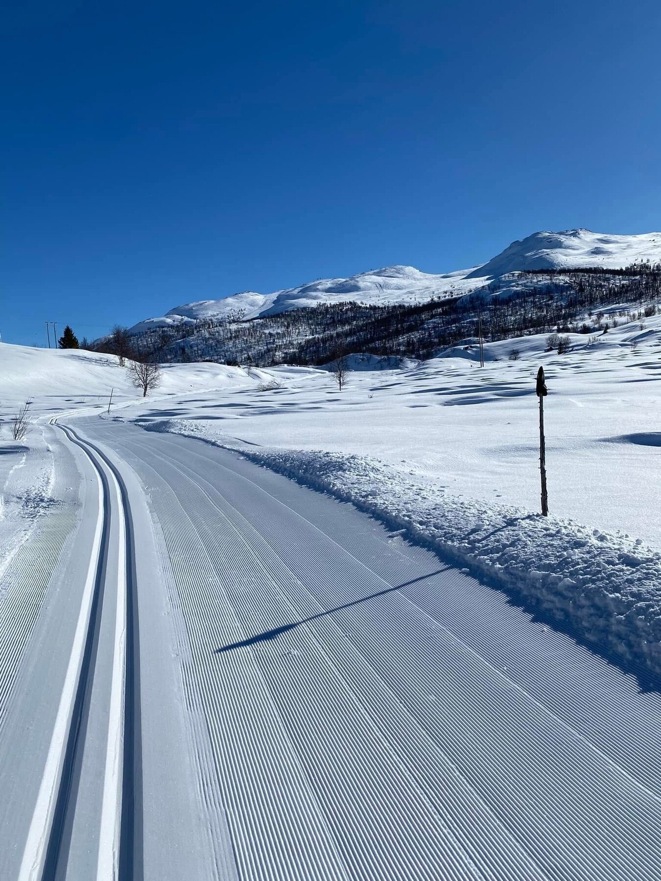 Det er kort vei til skiløyper. Galleribilde