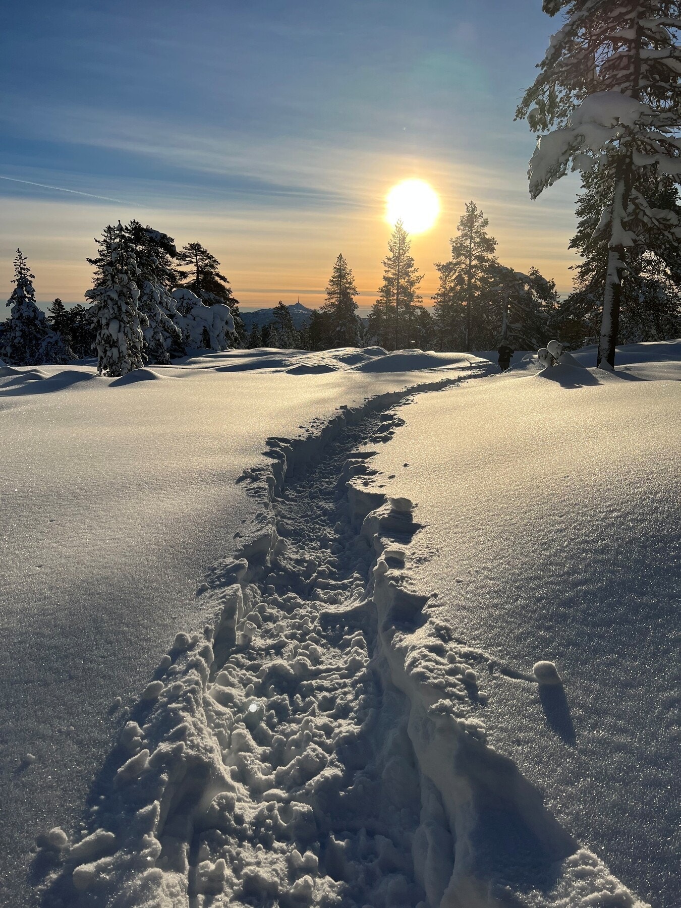 Selgers private bilder. Galleribilde