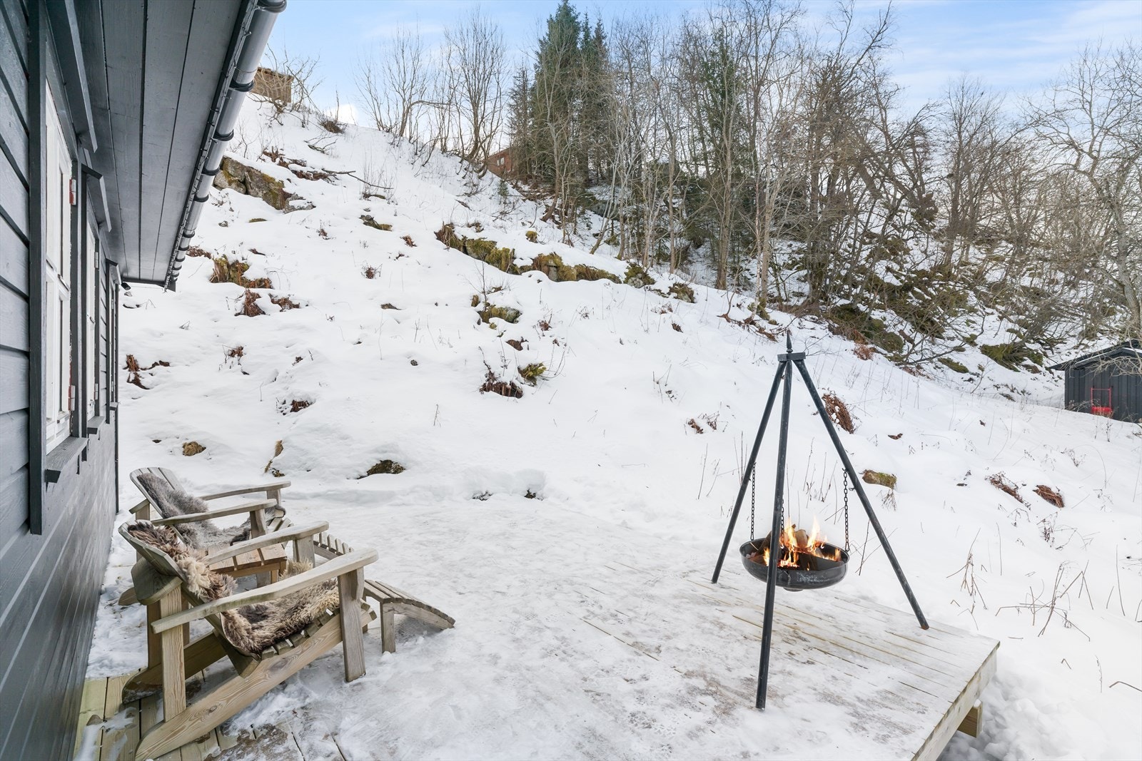 B0002209 Galleribilde