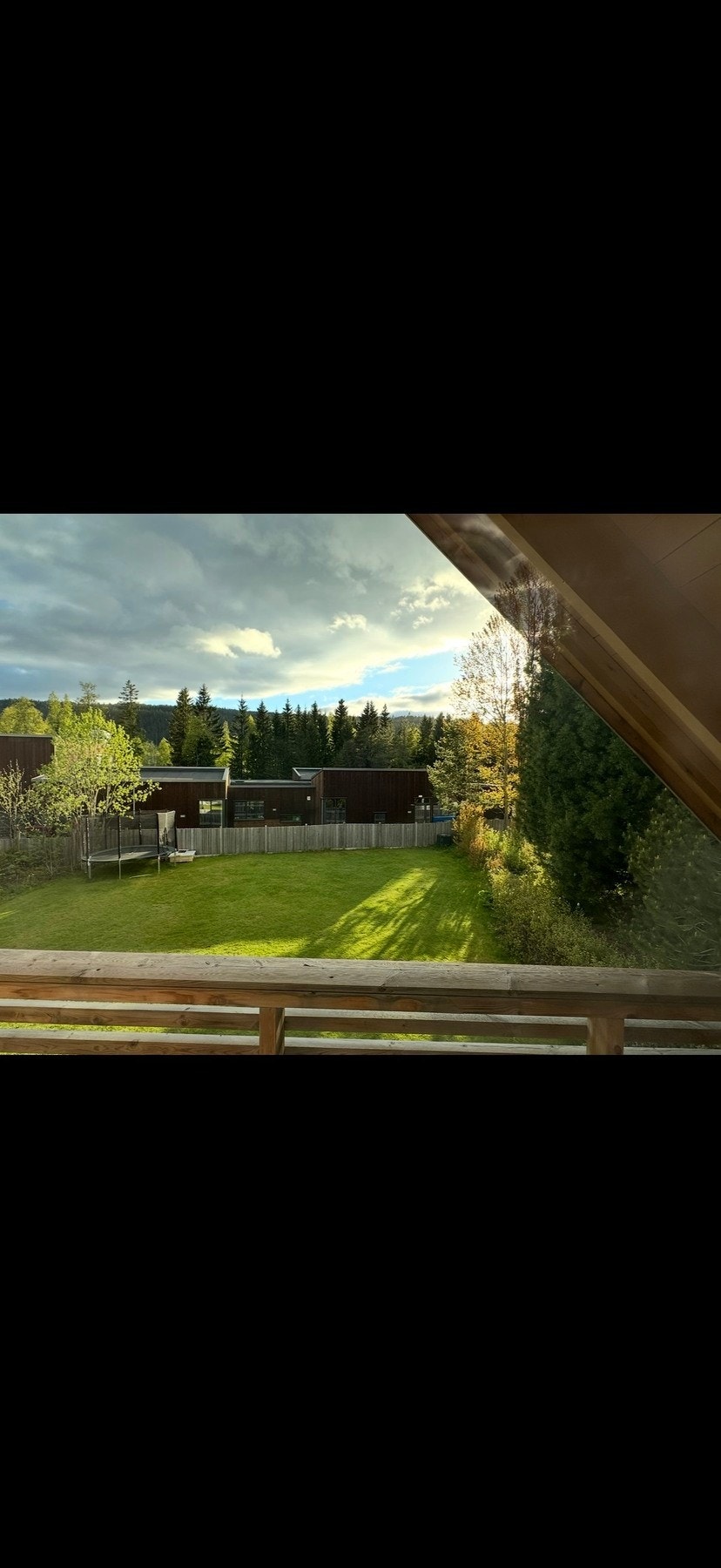 Bilde av hagen på sommerstid (privat bilde) Galleribilde