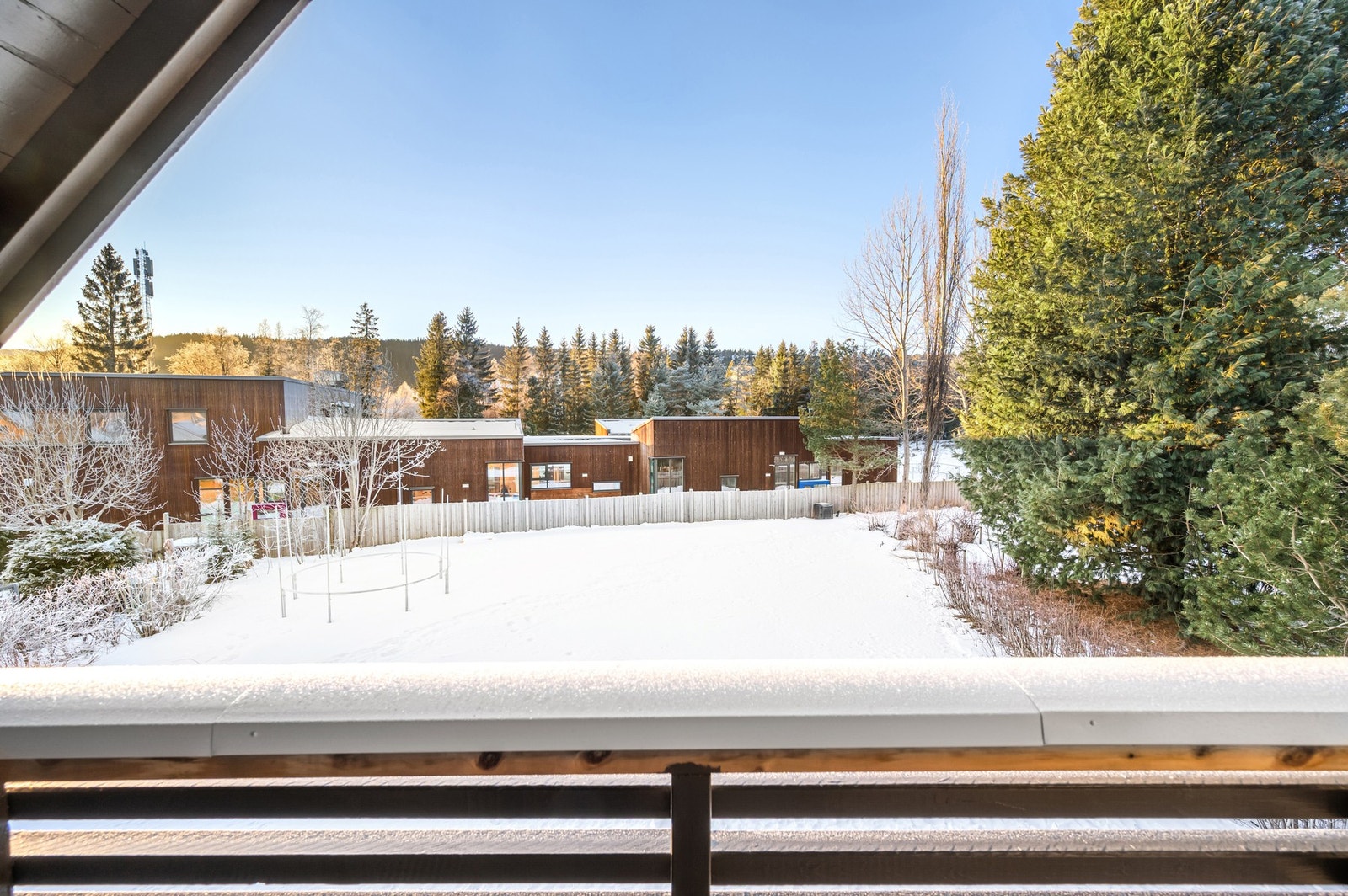 Flott utsikt utover hagen Galleribilde