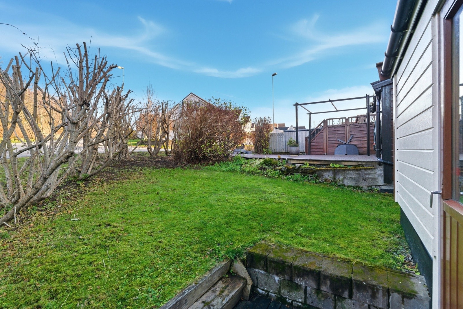 Bakside med plen Galleribilde