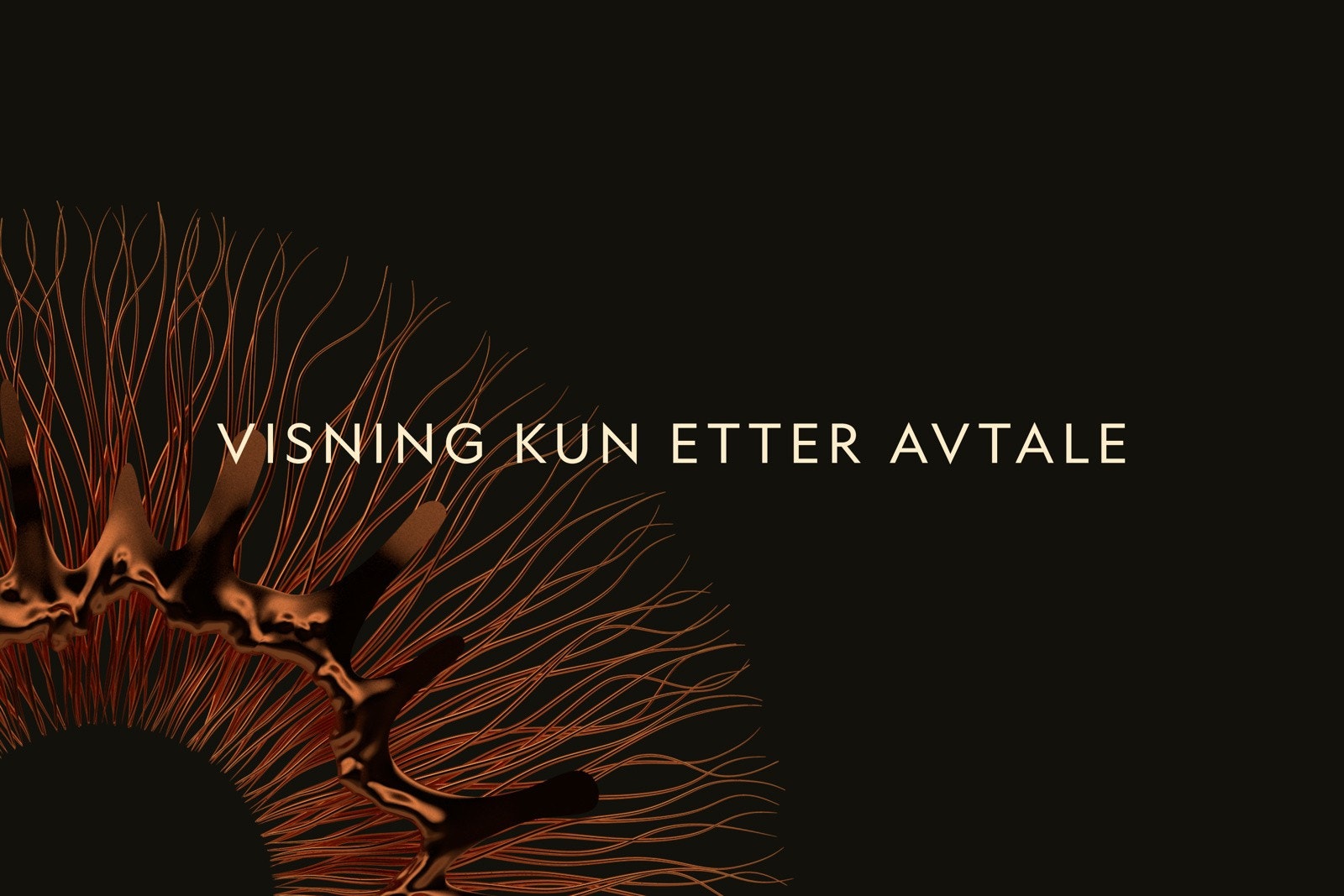 Visning etter avtale - Ta kontakt for å avtale eget tidspunkt Galleribilde