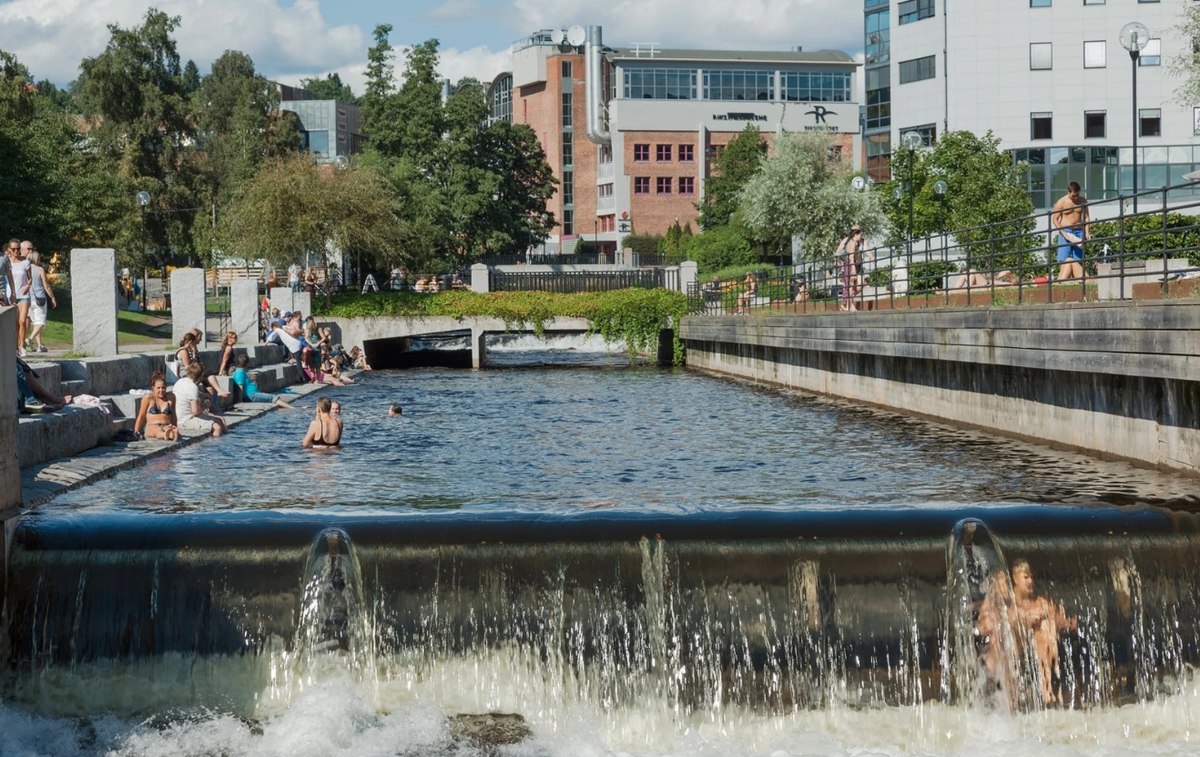 Nærområdet Galleribilde