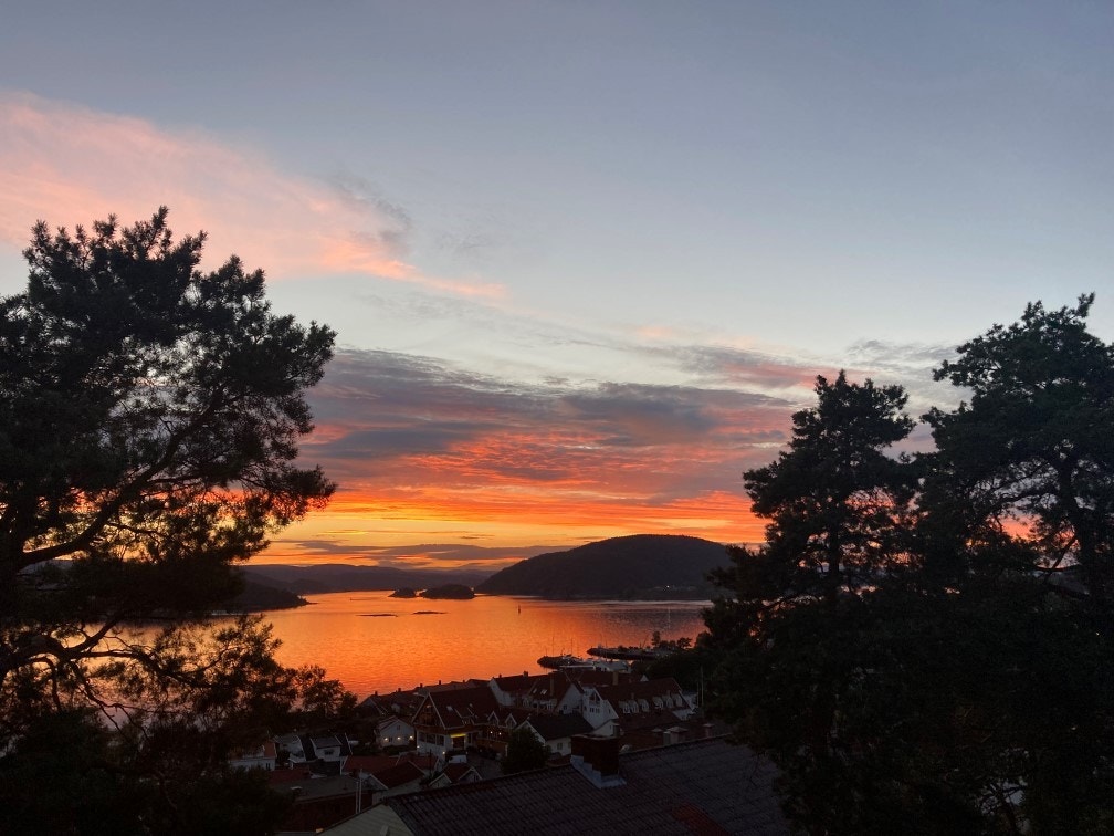 Bilde tatt av selger Galleribilde