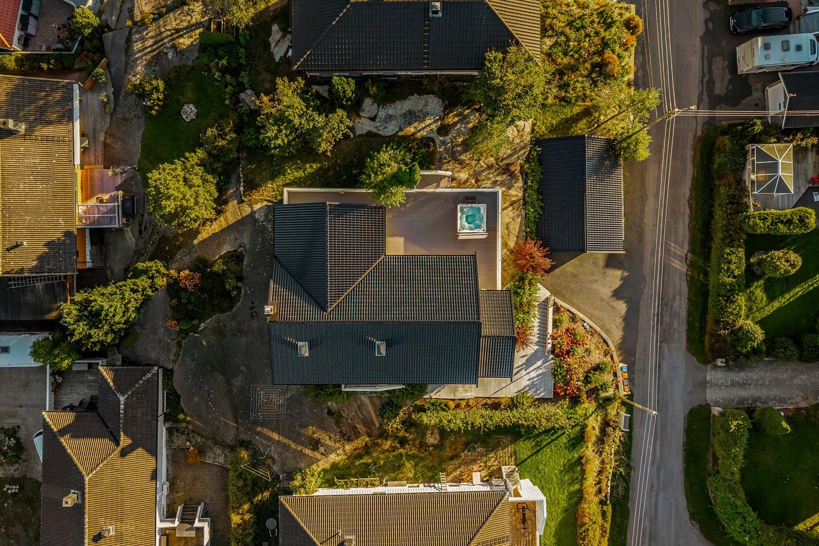 Fugleperspektiv. Galleribilde