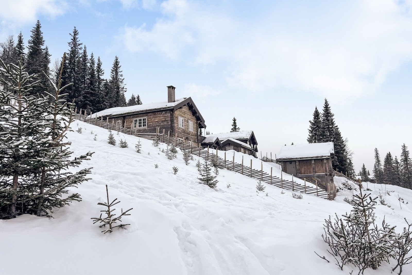 Hytta grenser mot friområde! Galleribilde