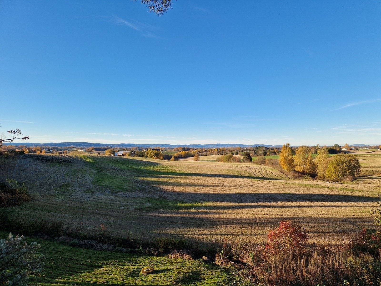 Utsyn fra eiendommen. Galleribilde