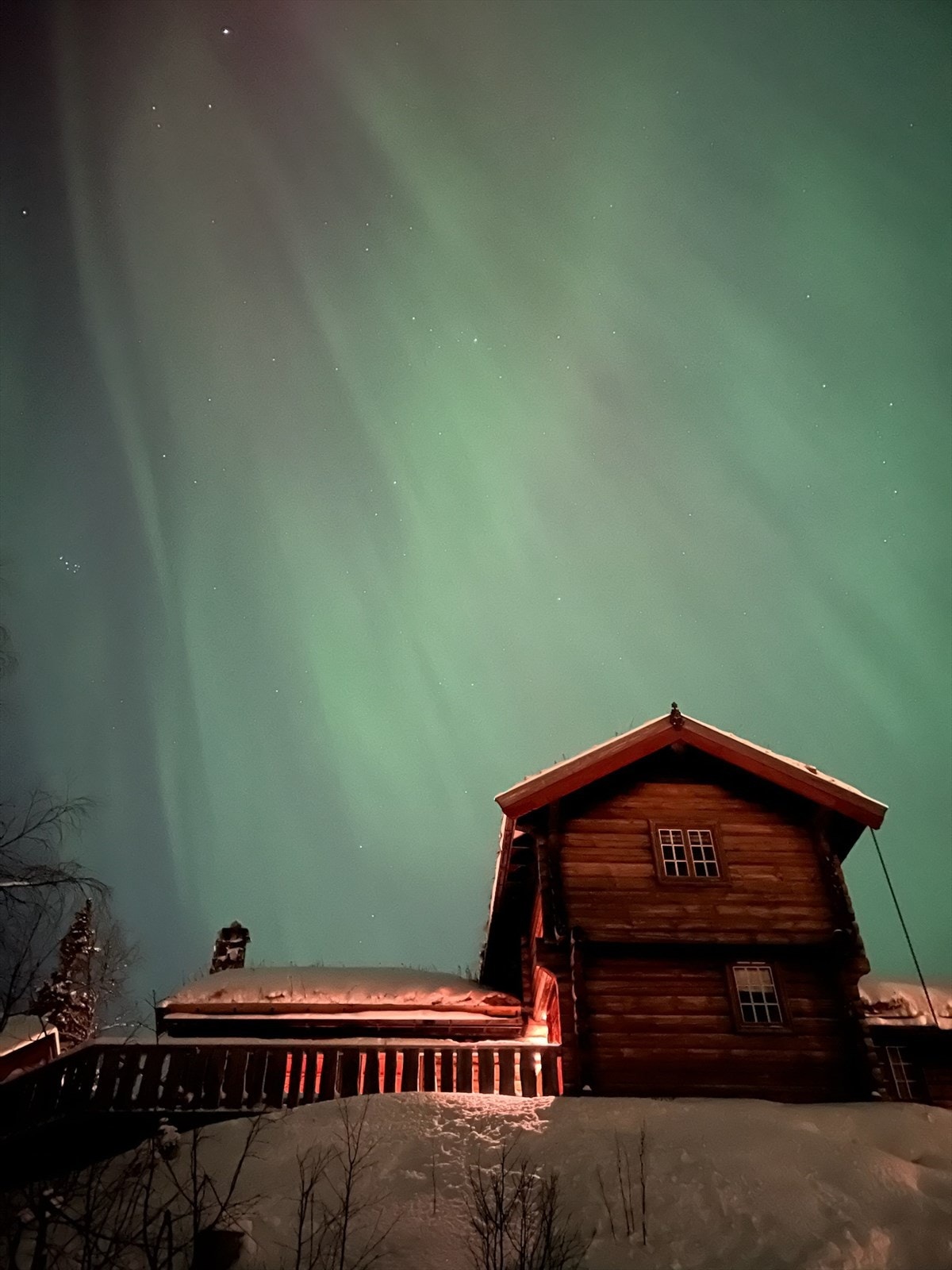 Bilde tatt av selger. Galleribilde