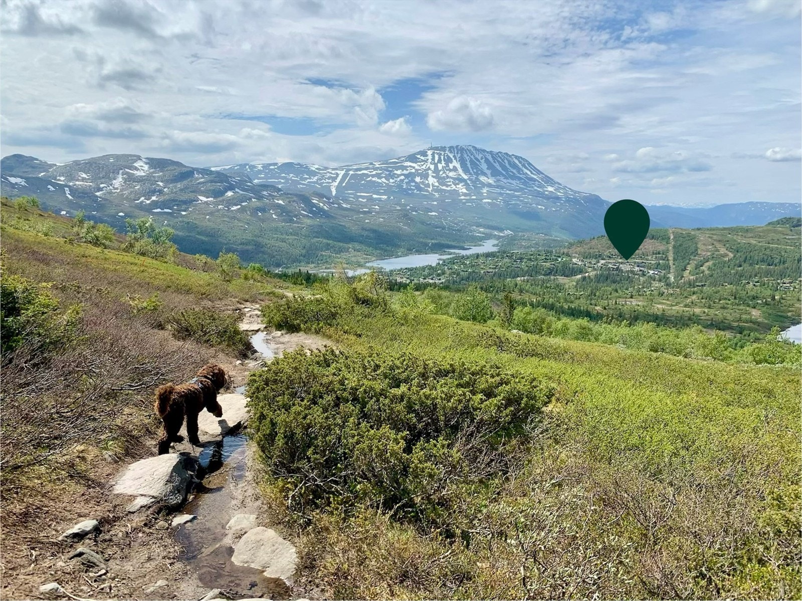 Bilde tatt av selger. Galleribilde