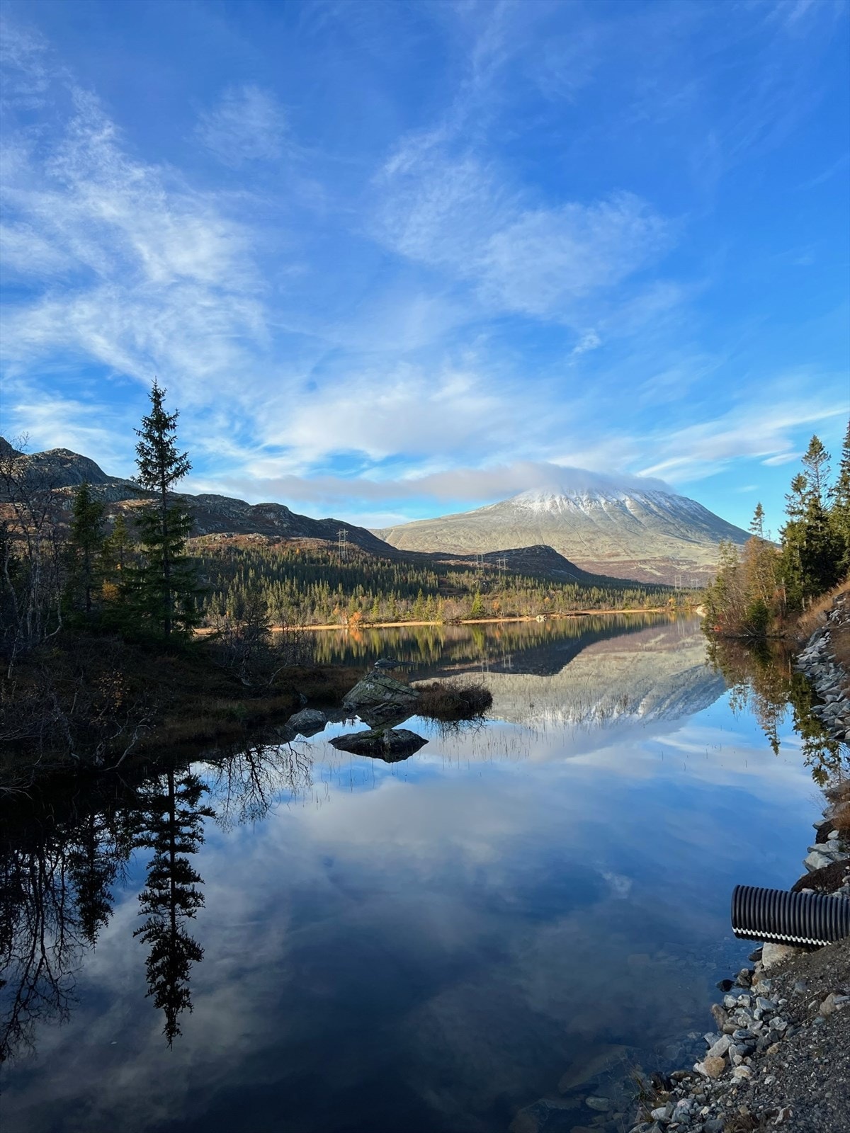 Bilde tatt av selger. Galleribilde