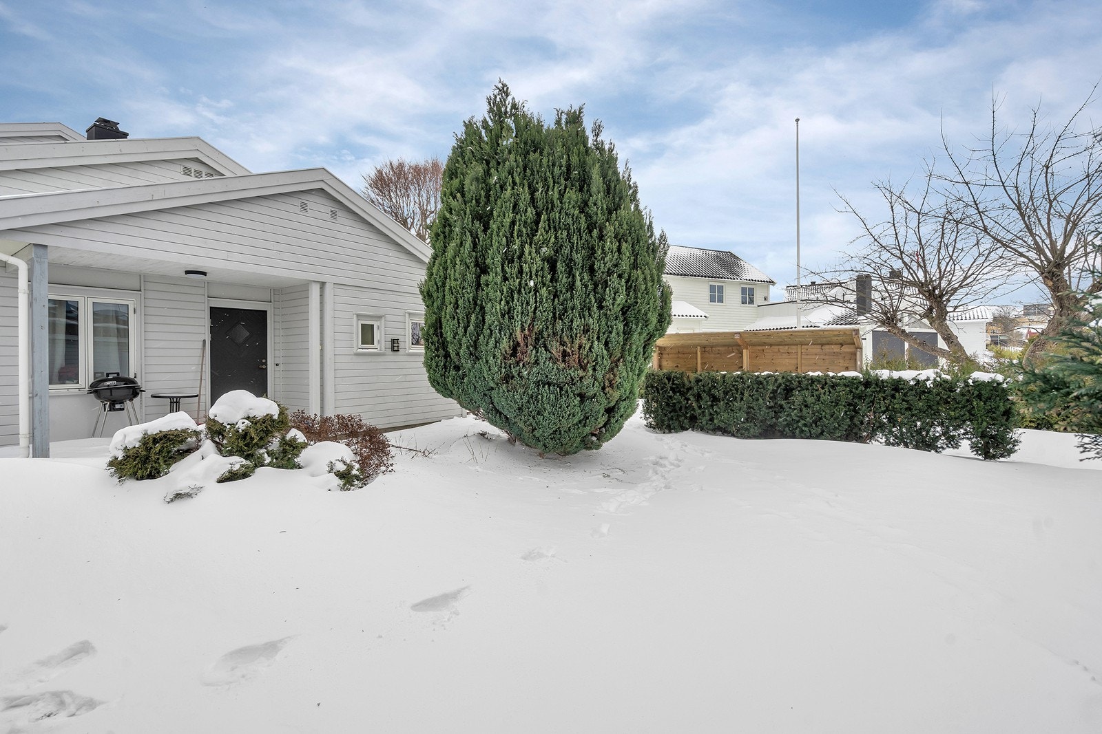 Hage med plenarealer Galleribilde