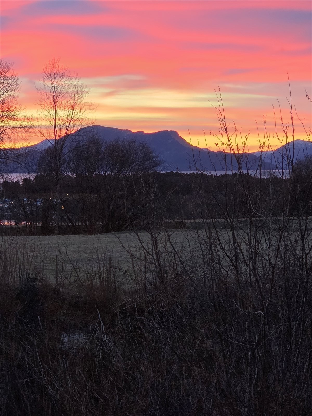 Kvelds utsikt Galleribilde