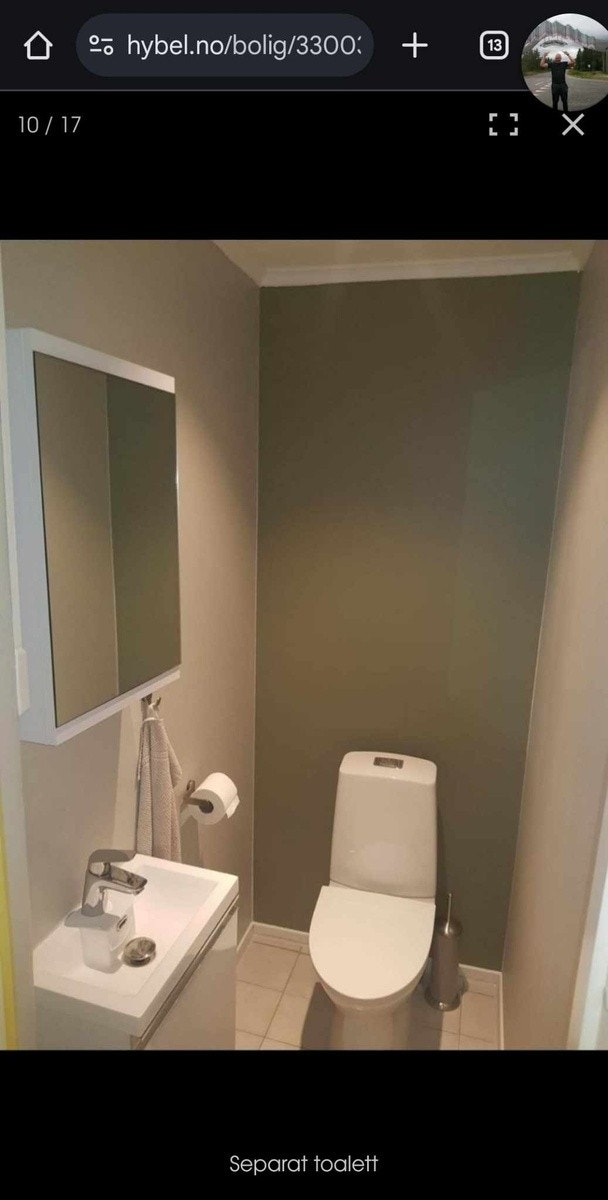 Toalettrom Galleribilde