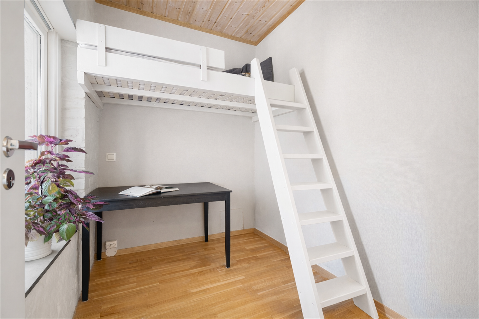 (illustrasjon) Galleribilde