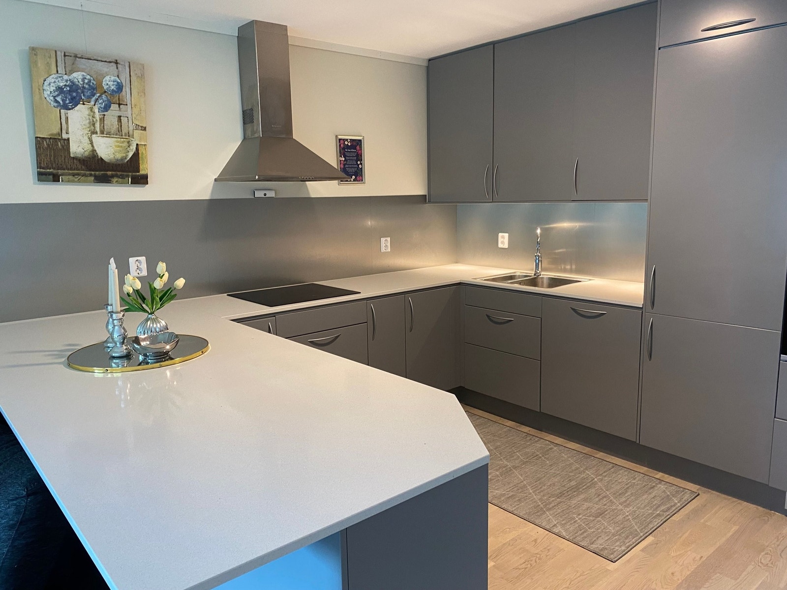 Kjøkkenet med fin vifte i stål, og stålplater på vegg. Galleribilde