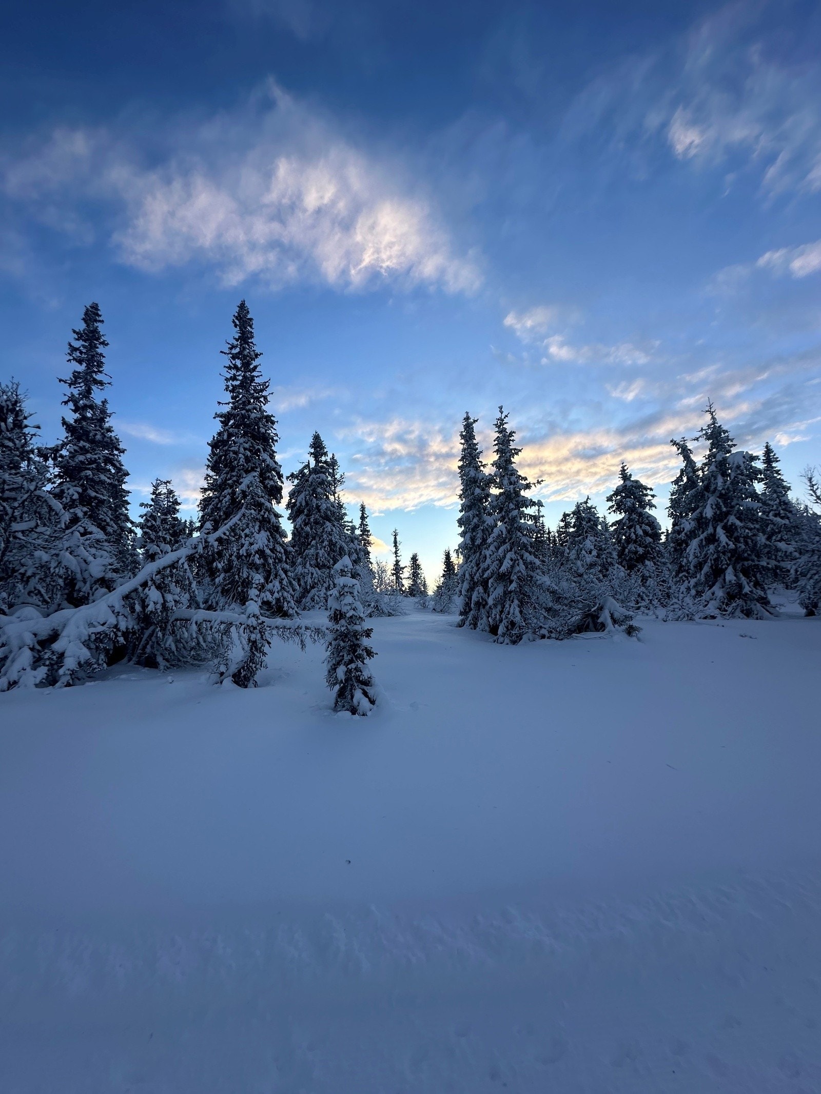 Fantastisk vinterstemning. Galleribilde