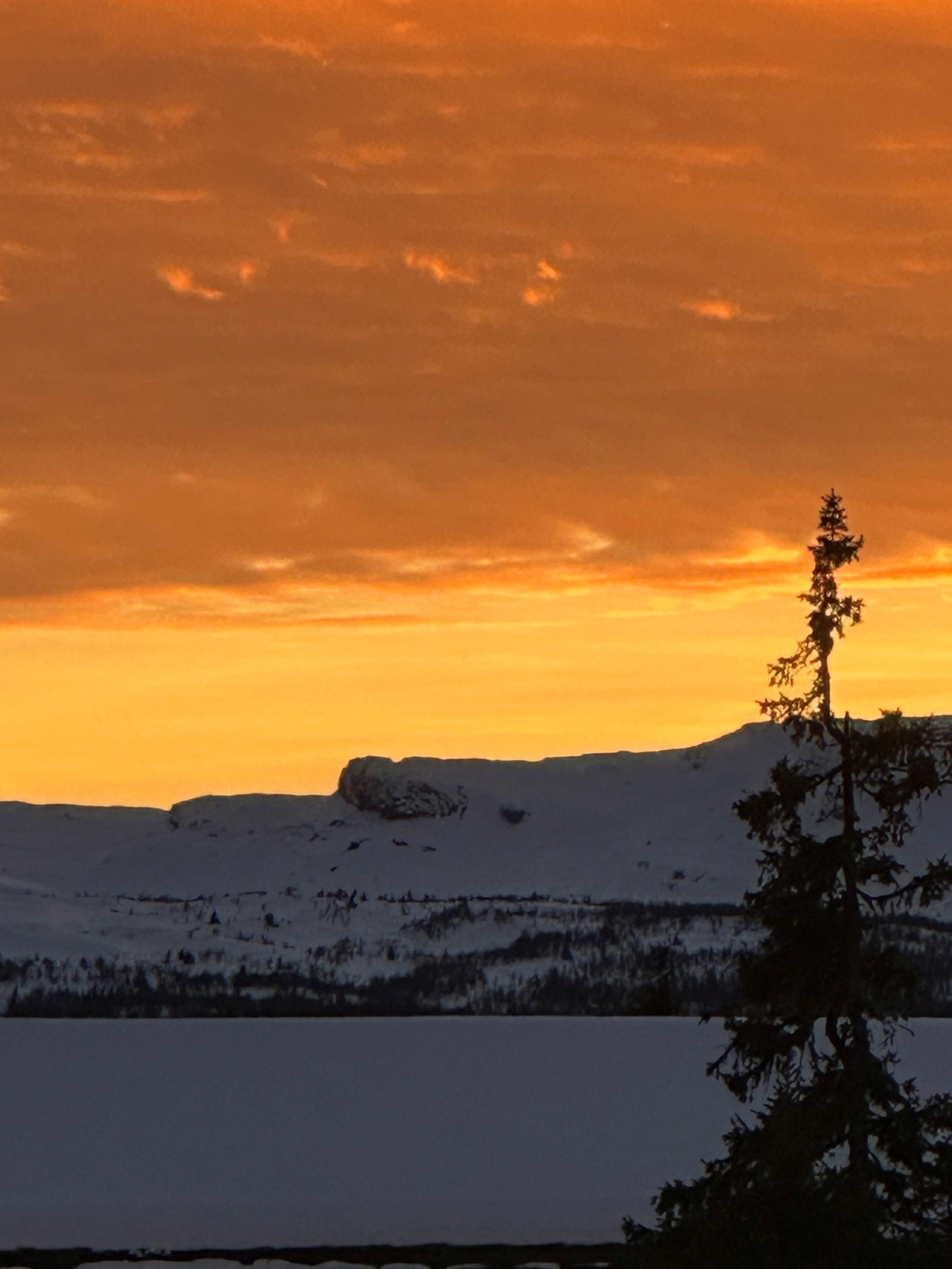 Fra hytta kan du også nye utsikten av karakteristiske Skardbua. Galleribilde